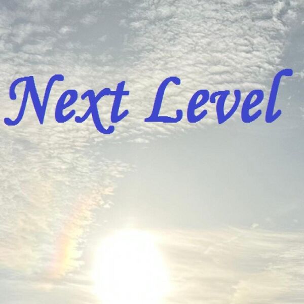Cover art for Next Level