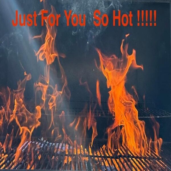 Cover art for Just for You So Hot !!!